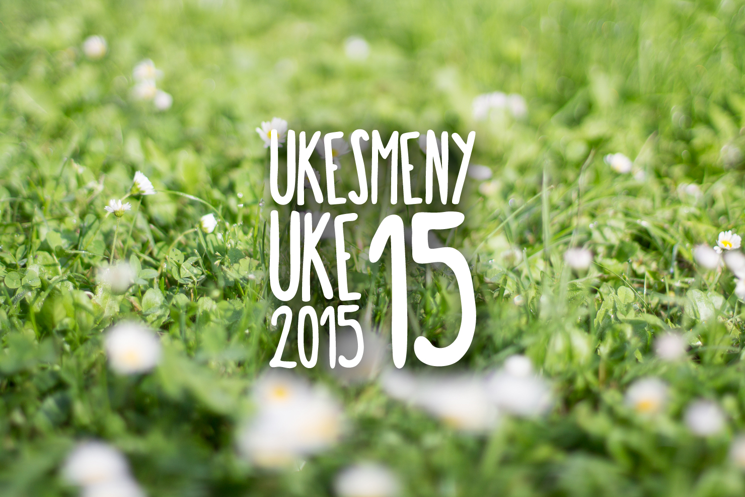 Ukesmeny | Uke 15 | 2015